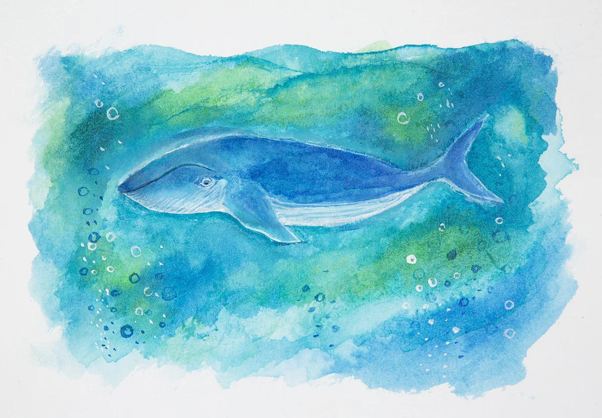 Whale Hello