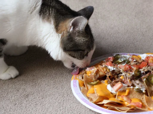 07182012-215092-del-taco-pixel-nachos.jpg