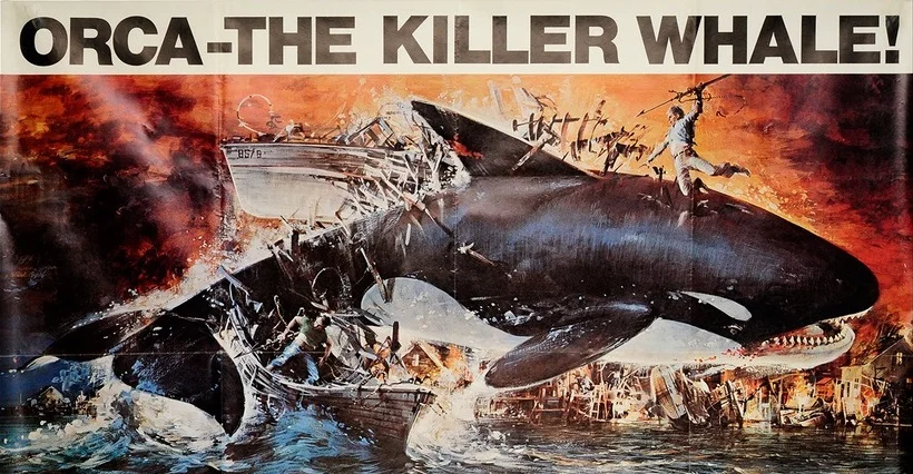 Orca.jpg