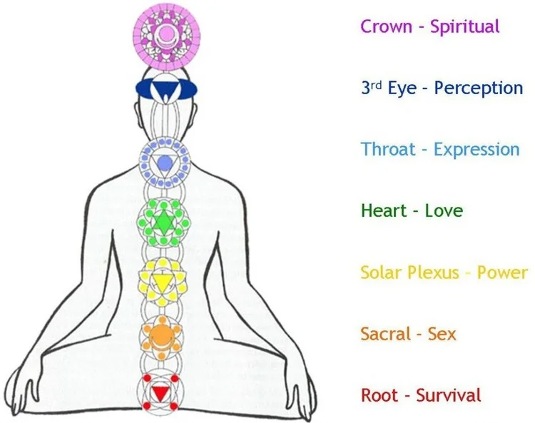 7-chakras-in-the-body-symbols-and-meaning-1024x810-meditationgongs.net_.jpg