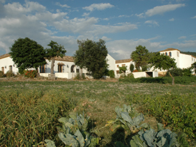 This is an exterior shot of Suryalila.