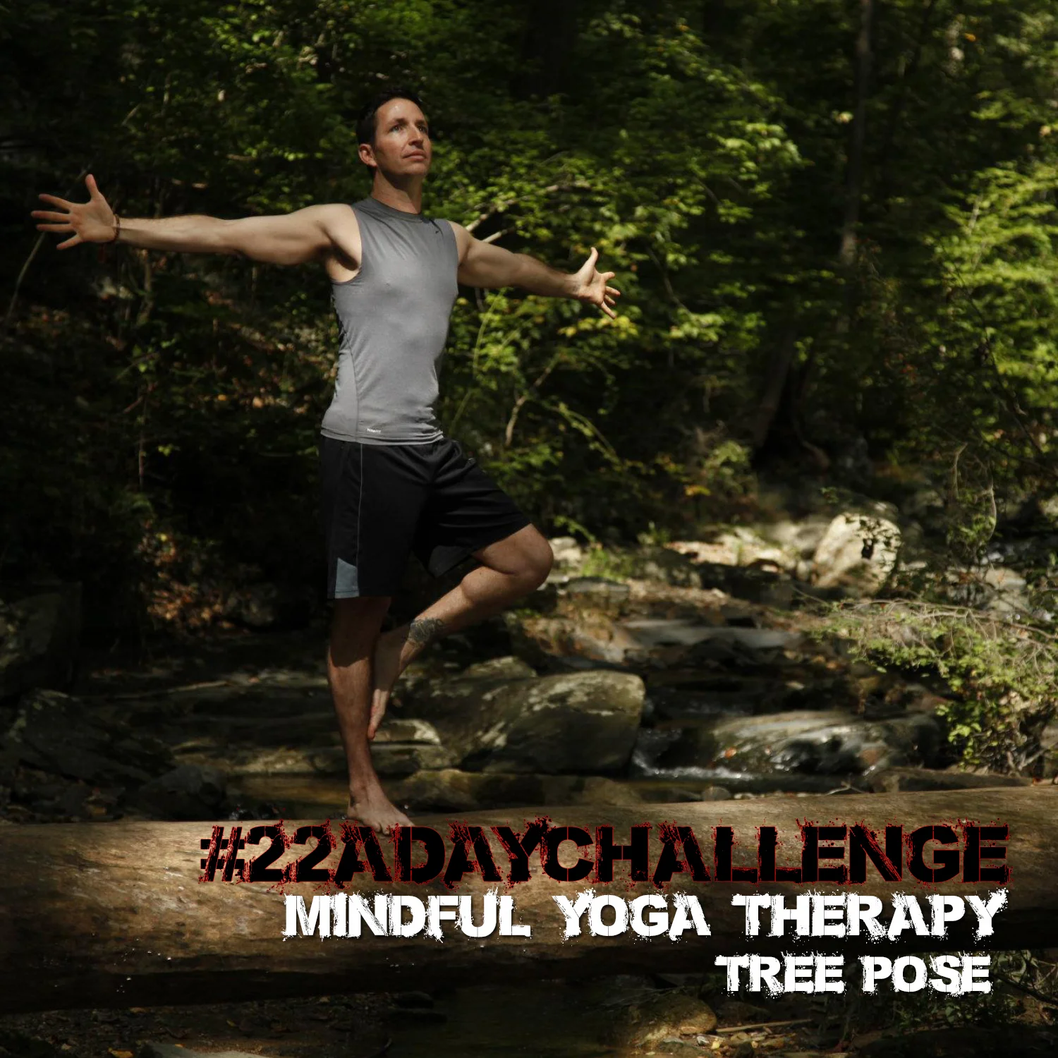 Day 20 Tree Pose.jpg