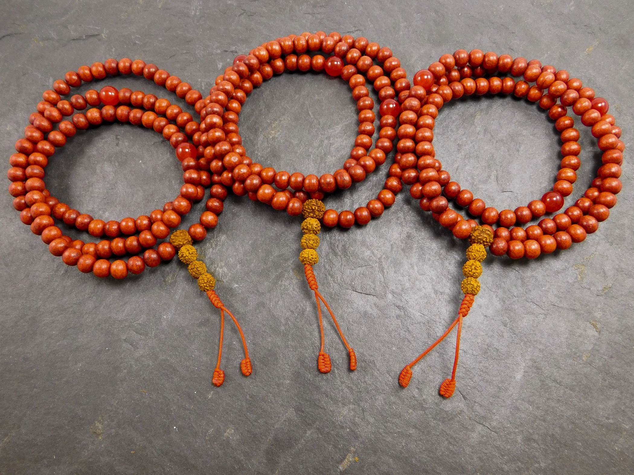 Warrior Mala01539.jpg