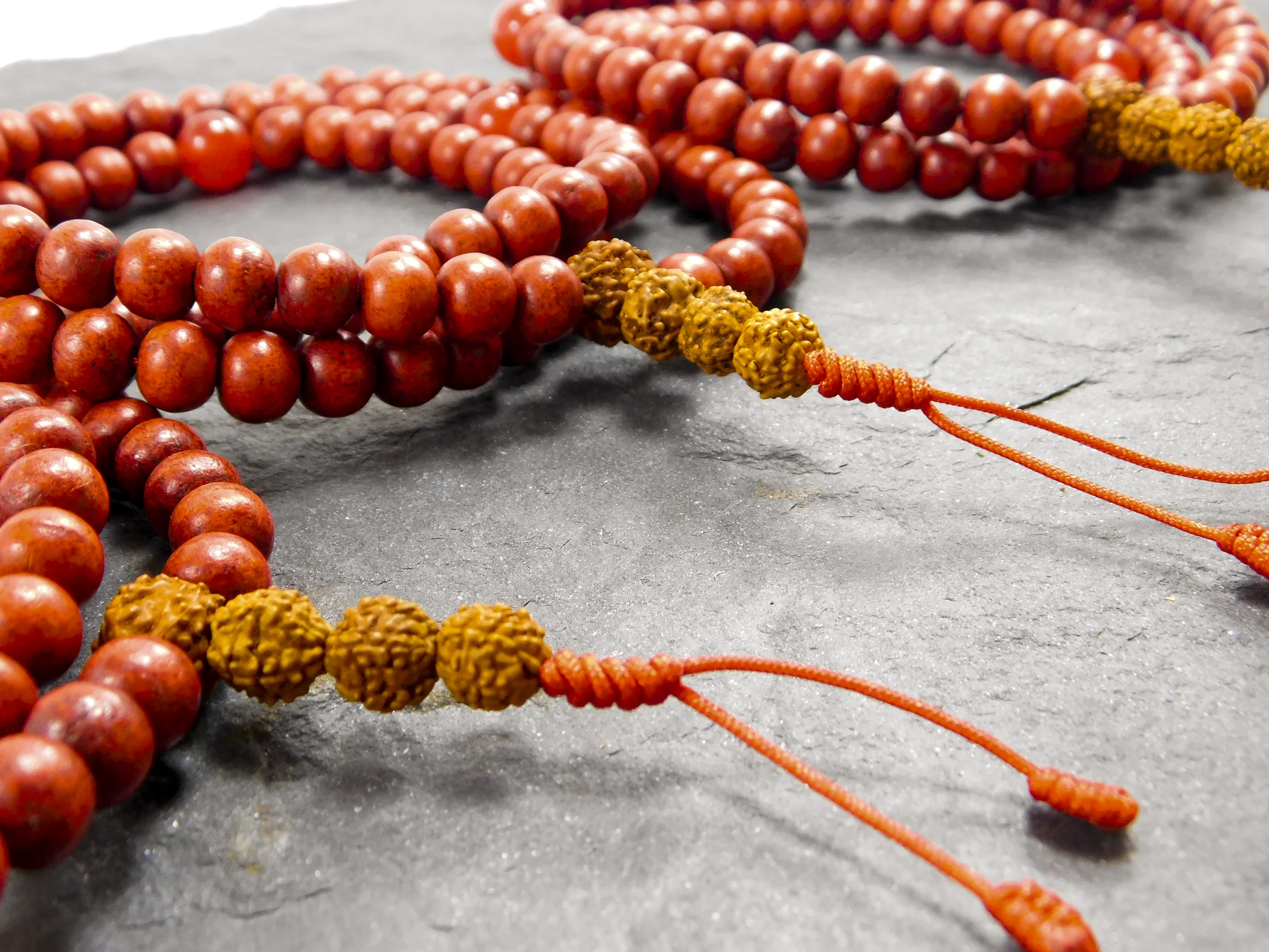 Warrior Mala01541.jpg