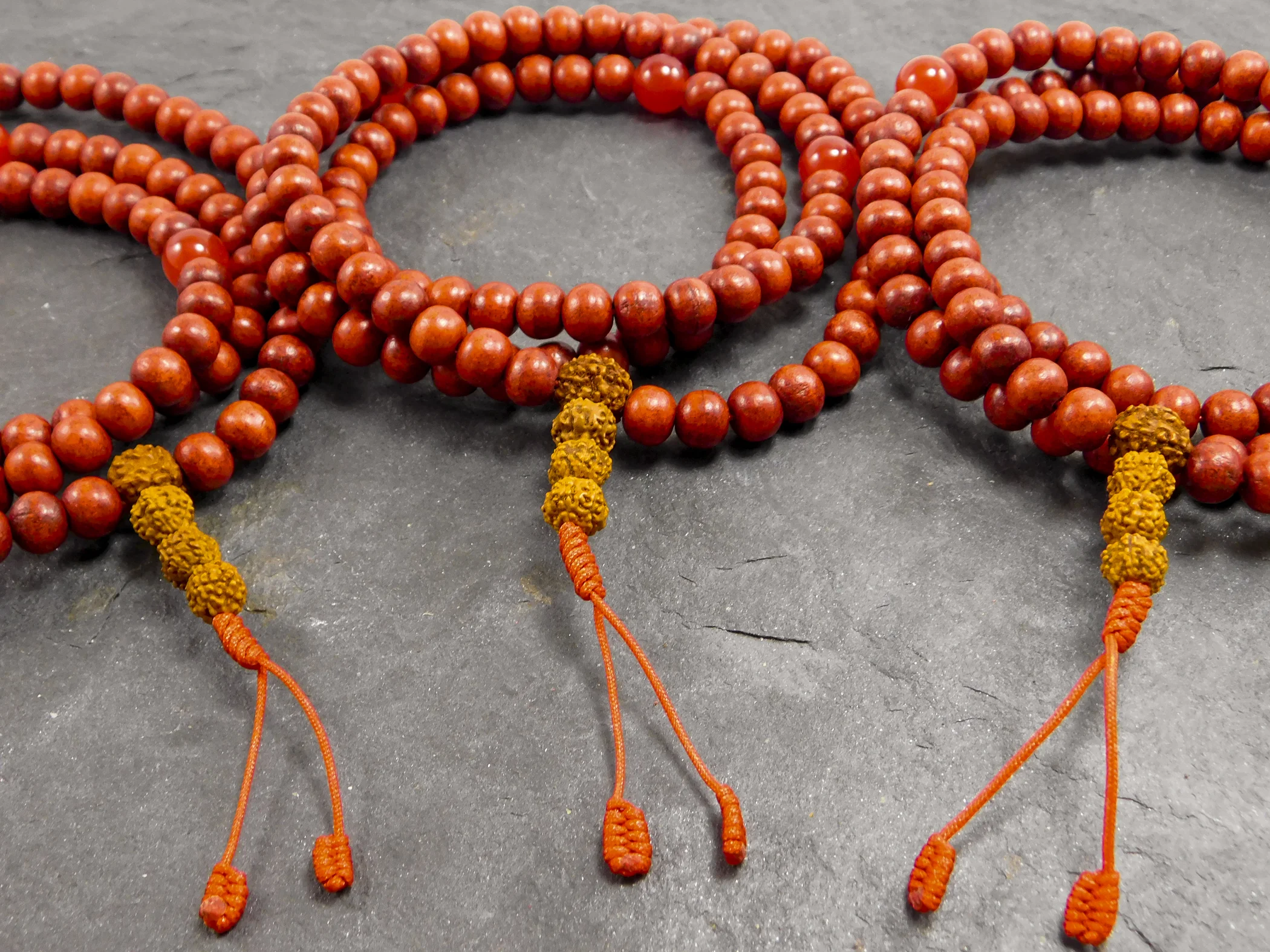 Warrior Mala01540.jpg