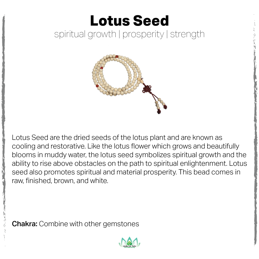 Lotus Seed Card-01.png