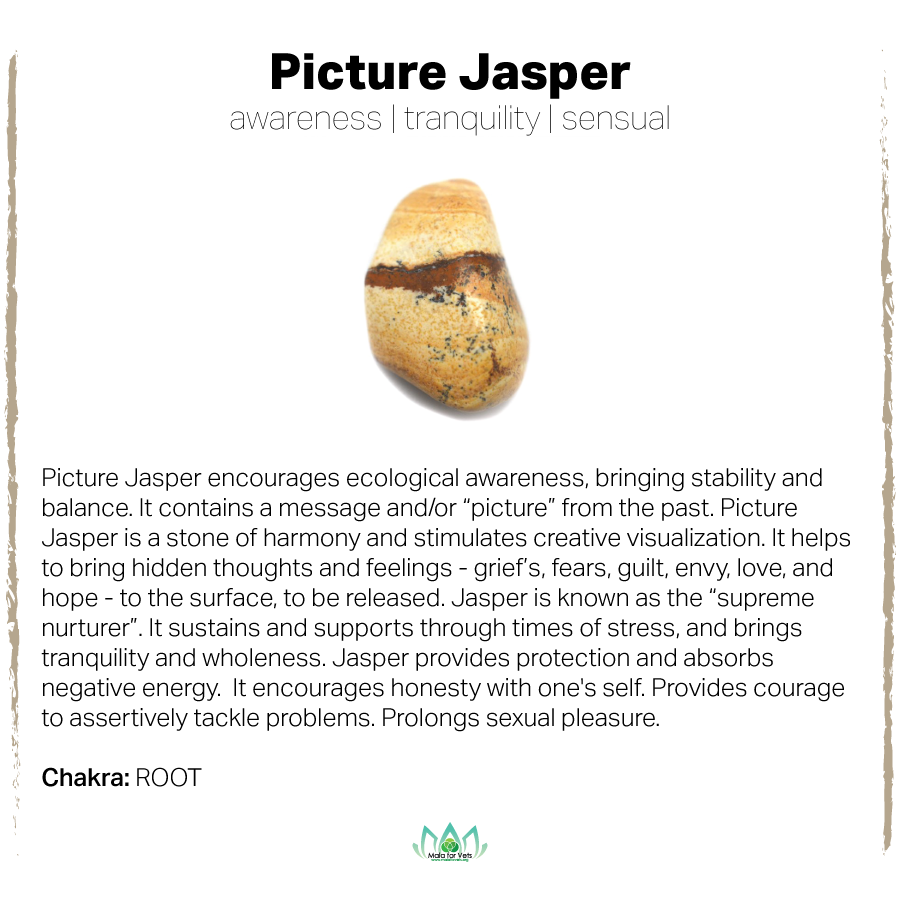 Picture Jasper Card-01.png