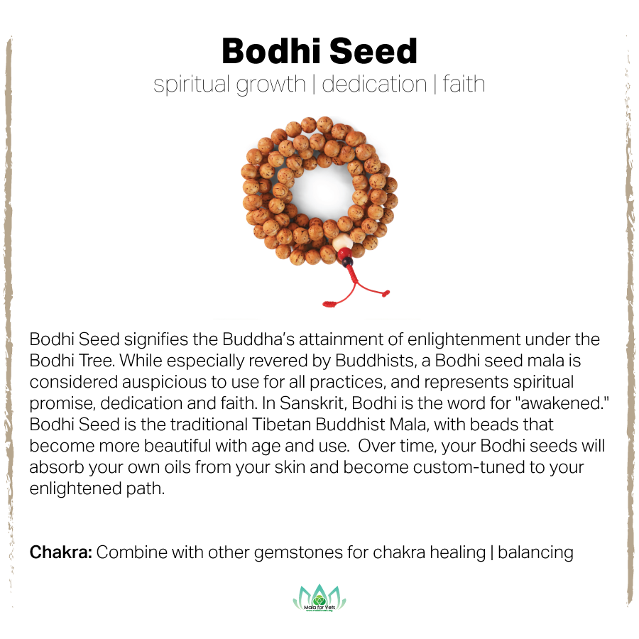 Bohdi Seed Card-01.png