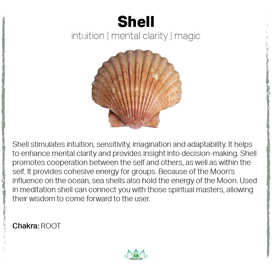 Shell Card-01.png