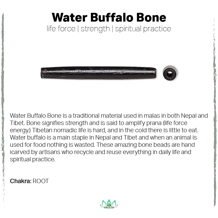 Water Buffalo Bone Card-01.png