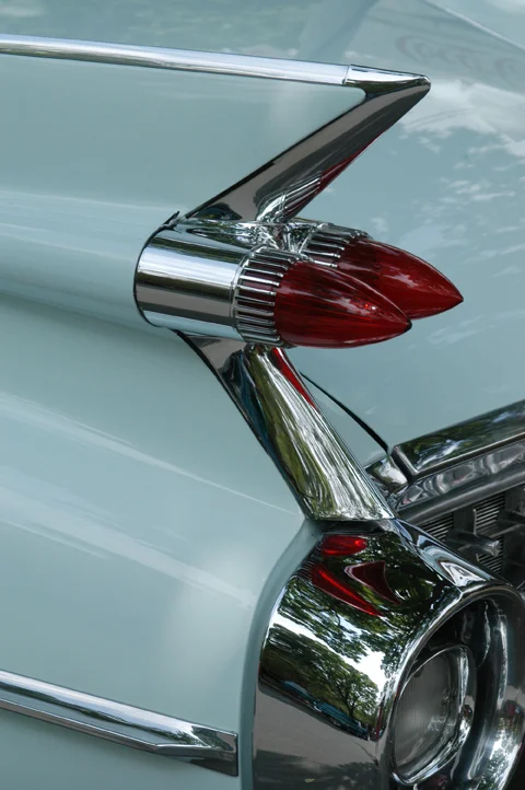 Cadi Fin