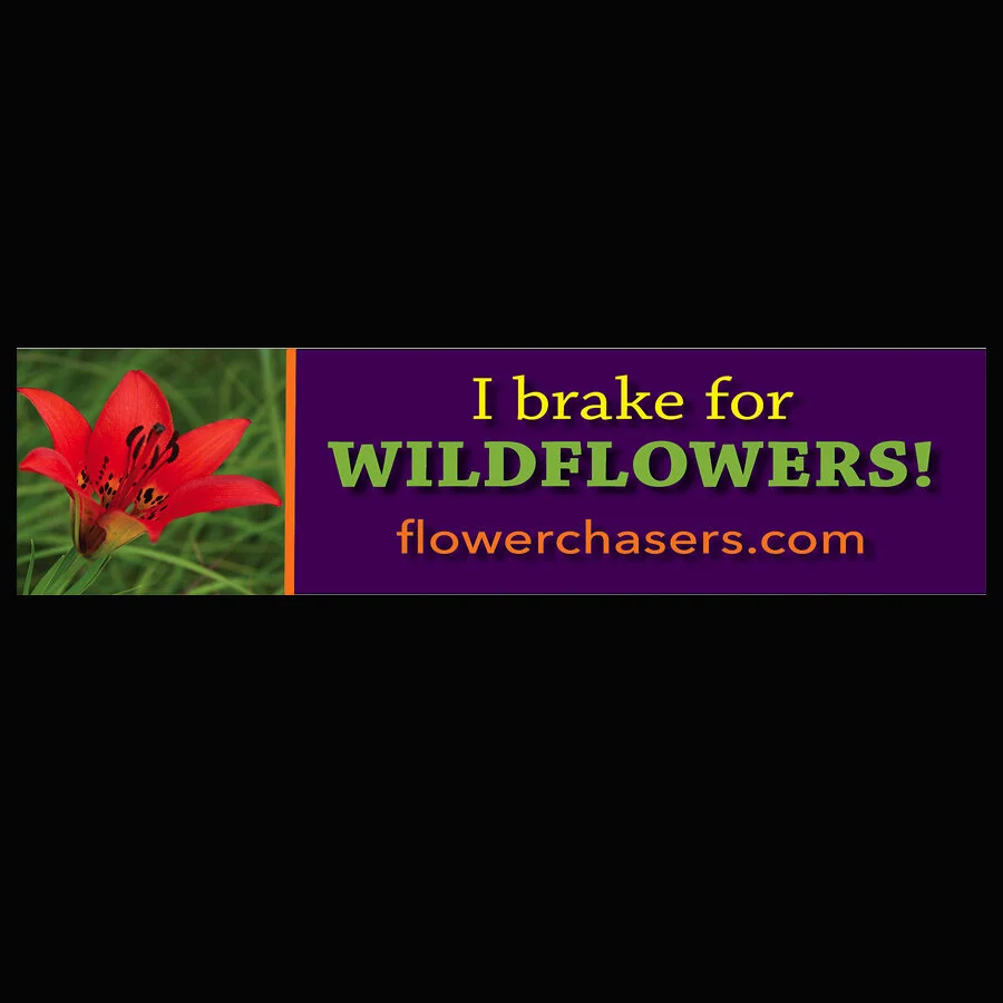 Bumper sticker for povophoto.jpg