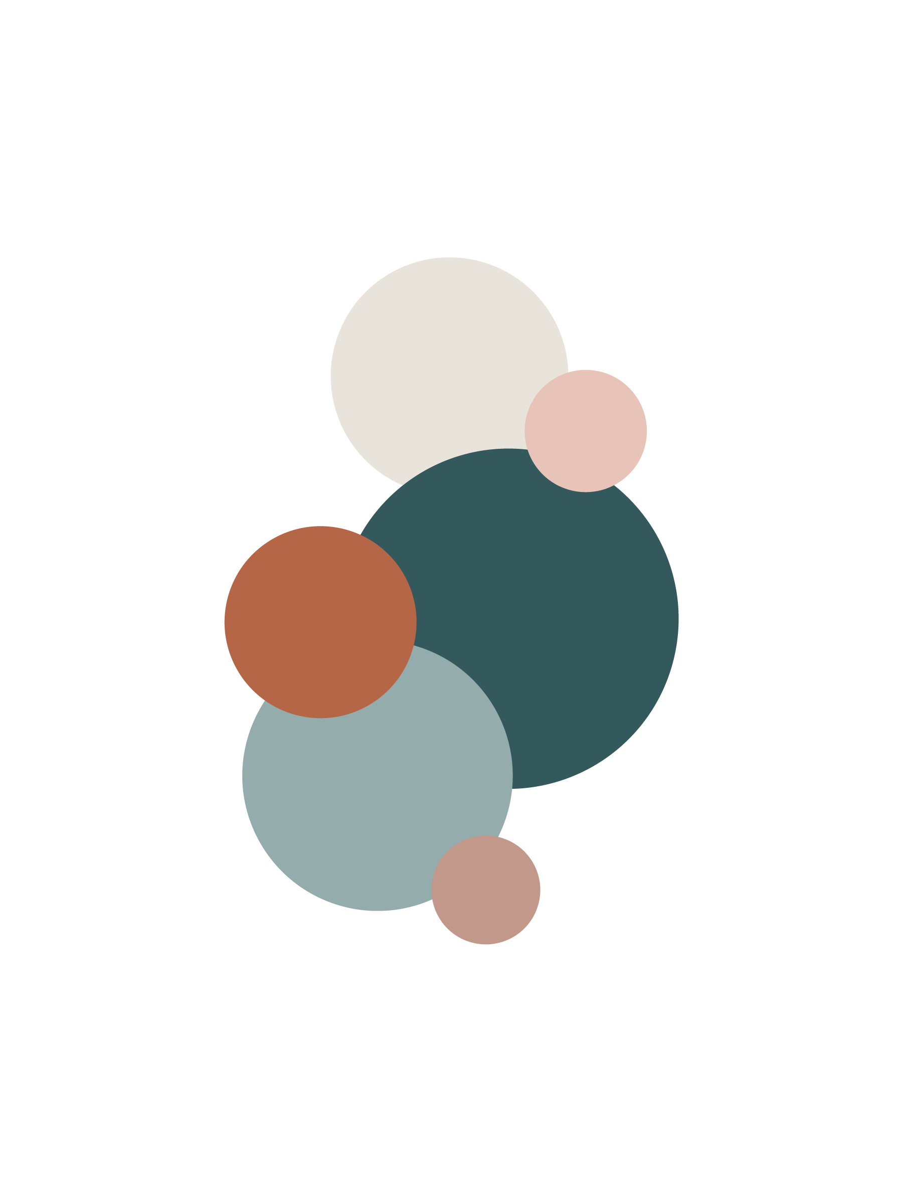 CAK Launch Graphics-11.png