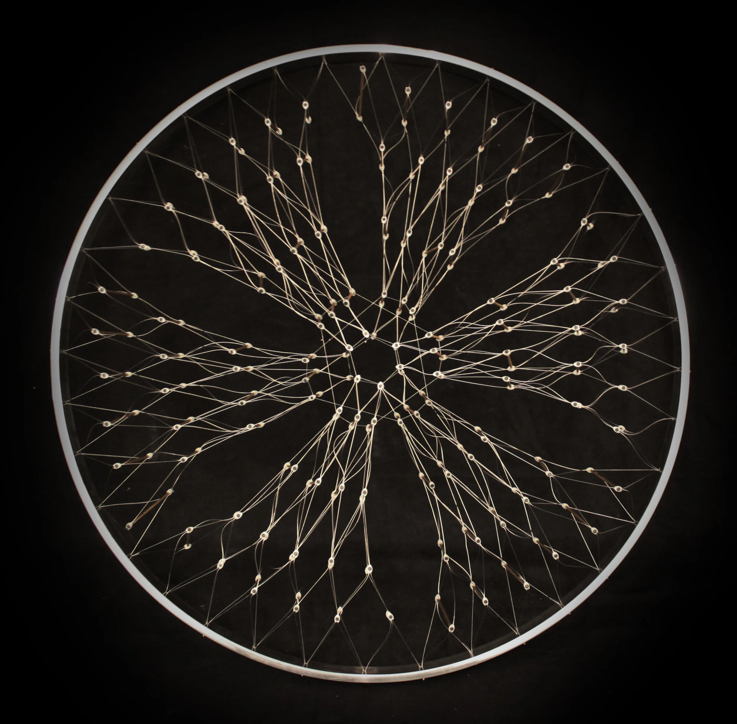  This structural mode is the culmination of an exploration into the work and research of Buckminster Fuller and Robert Le Ricolet. 