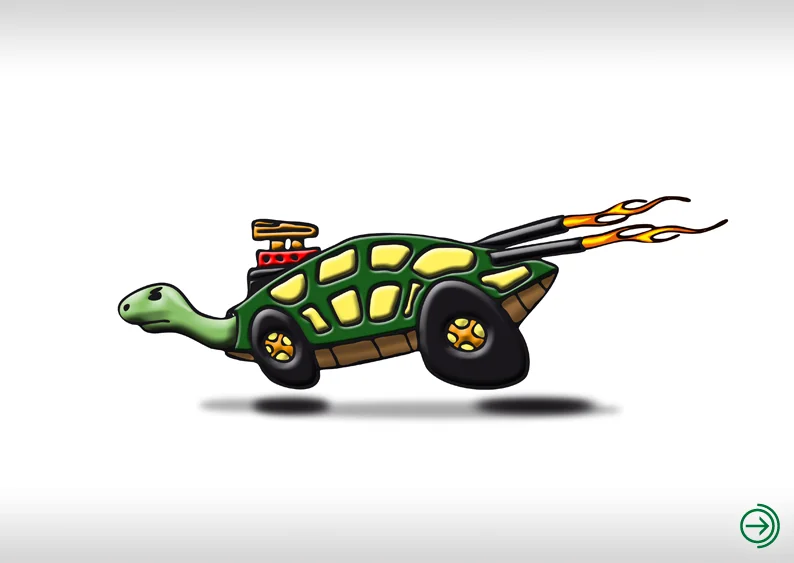 turbo turtle.jpg