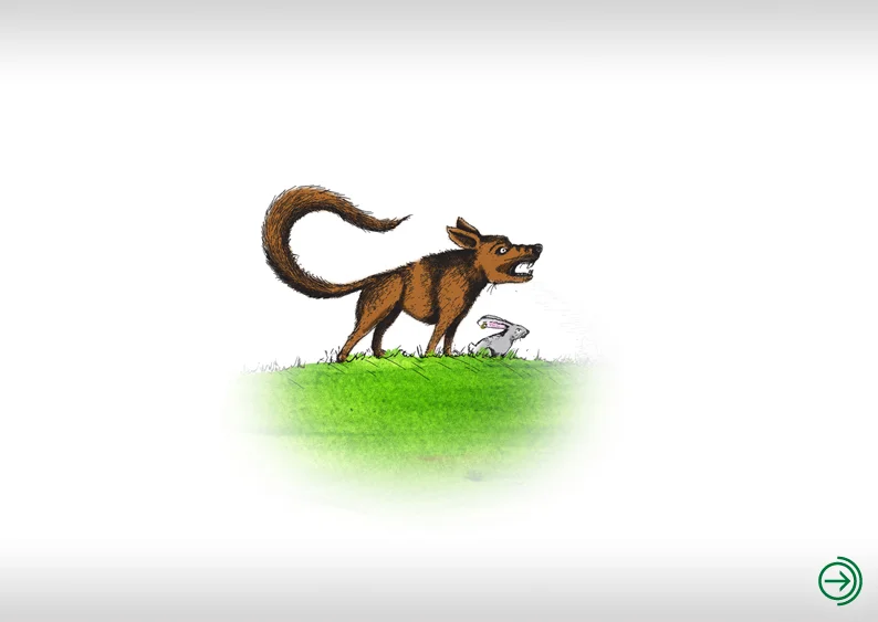 wolf.jpg