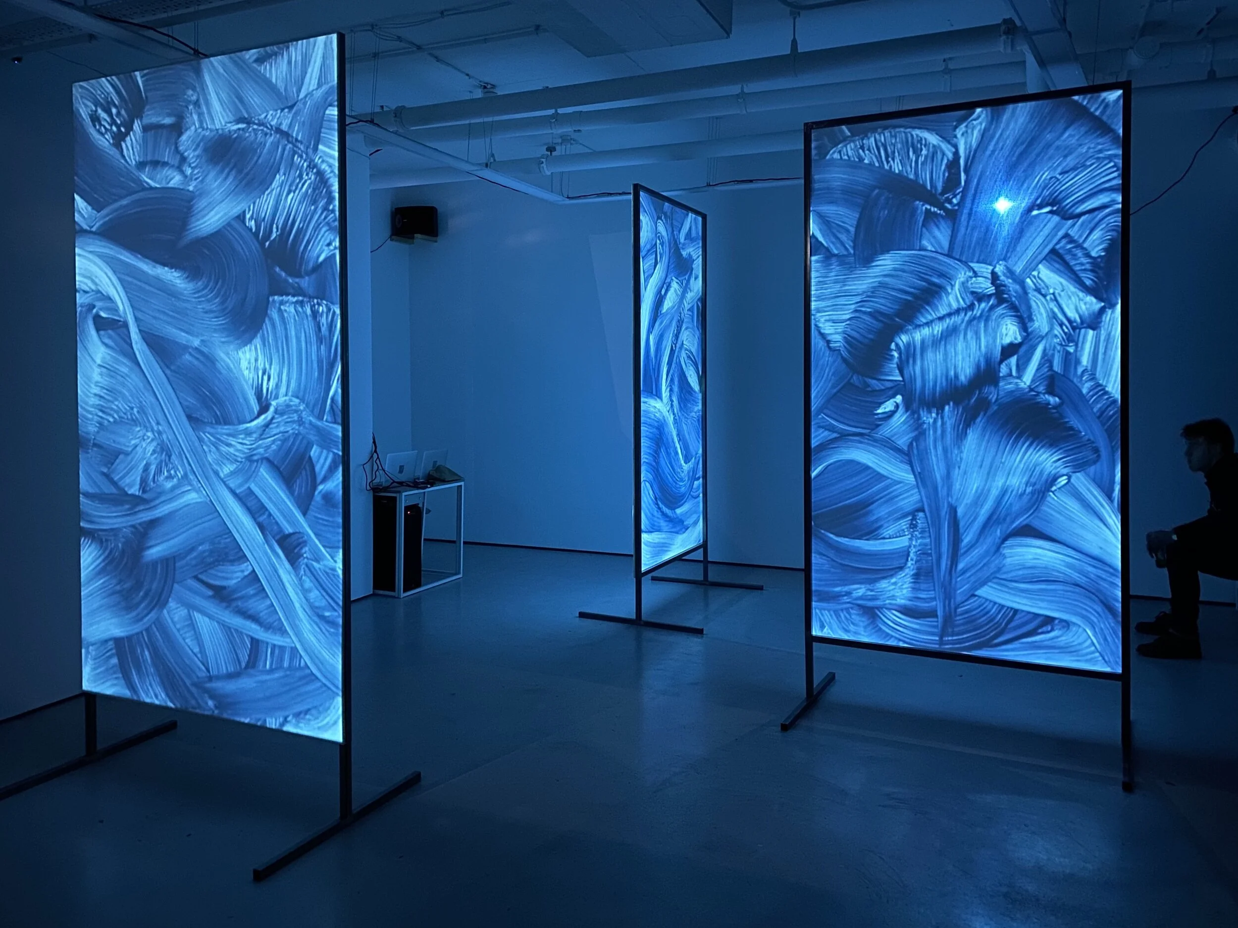 Audio Visual Installation DIVE Lychee One Gallery 2020