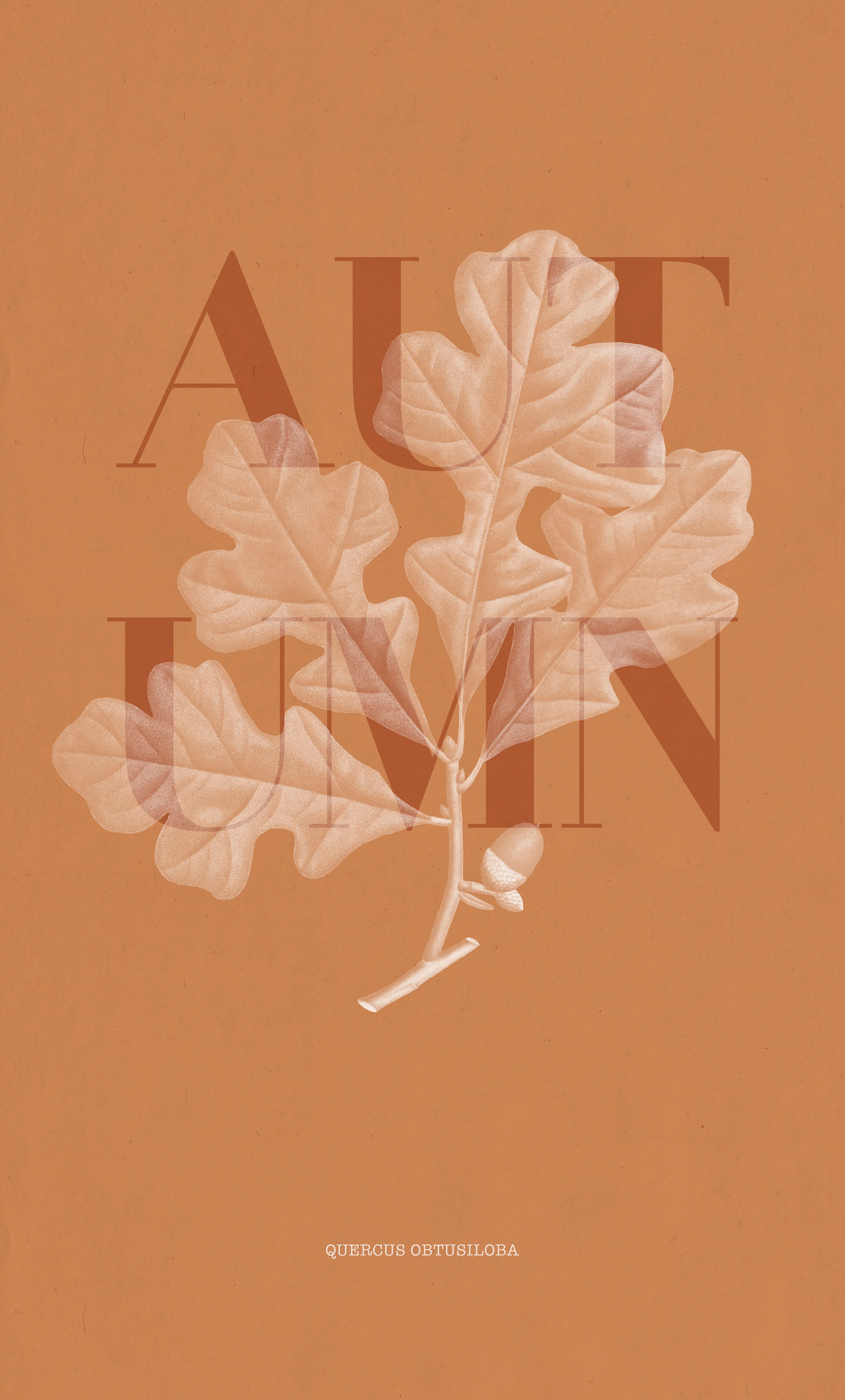 Autumn_v2.jpg