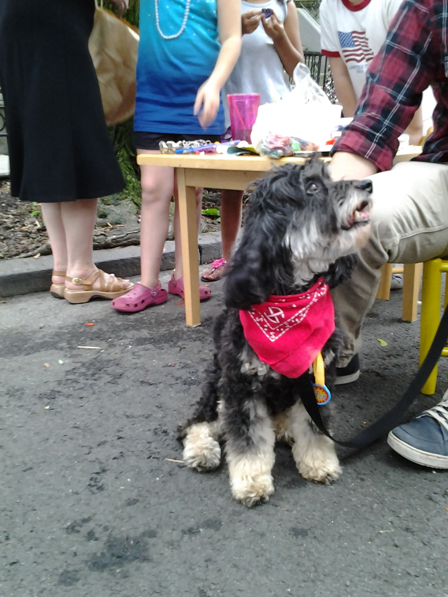 20130608_153938.jpg