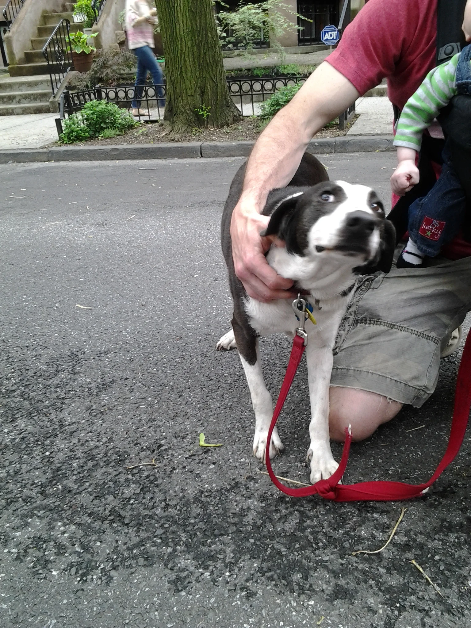 20130608_154528.jpg