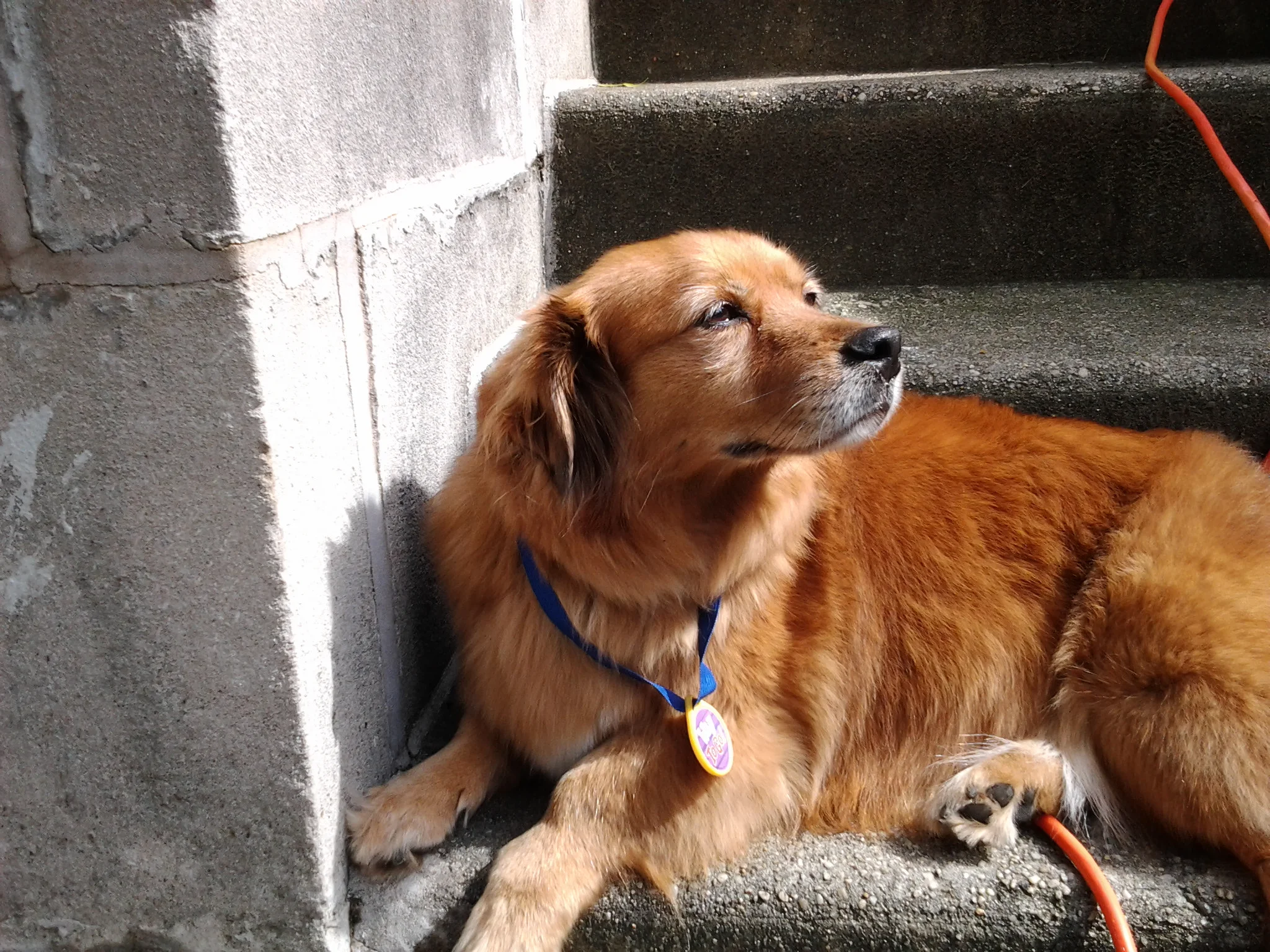 20130608_160658.jpg