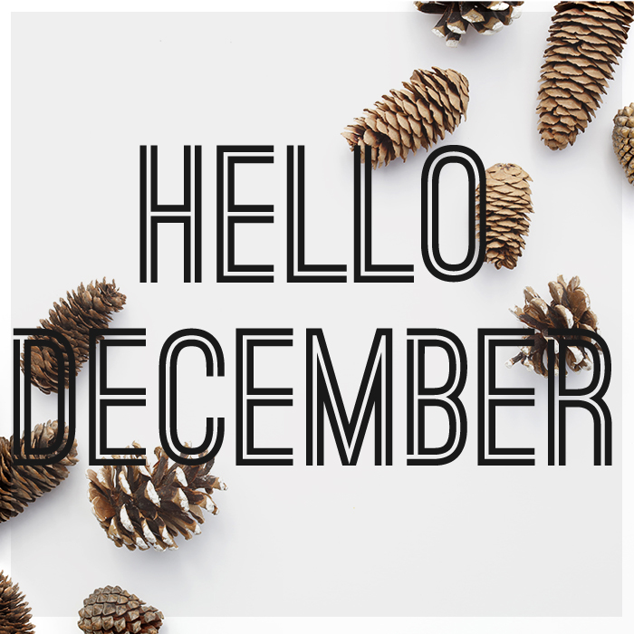 Charlotte NC Family Photographer: Hello December