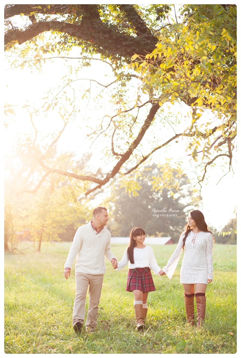 Charlotte_Family_photographer_Priscillagreenphotography024.jpg