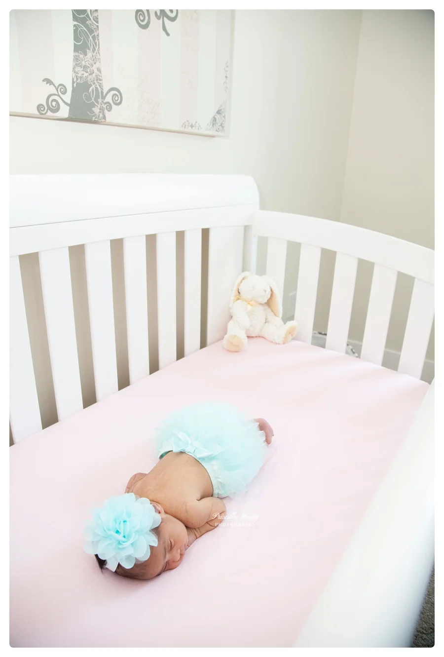 Charlotte_Newborn_photographer_Priscillagreenphotography004.jpg