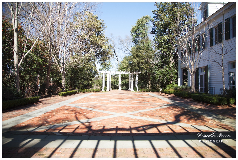 Charlottephotographer_dukemansion038©2017Priscillagreenphotography.jpg