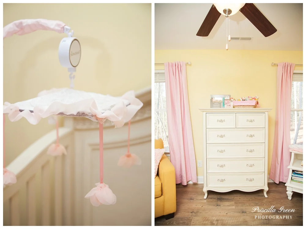 010charlottematernityphotographer©2017Priscillagreenphotography.jpg