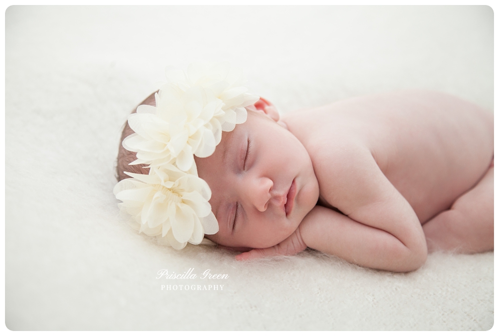 charlottenewbornphotographer_Priscillagreenphotography_0007.jpg