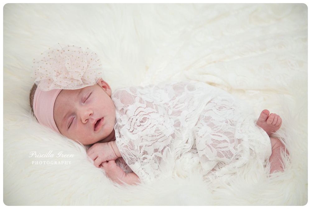 charlottenewbornphotographer_Priscillagreenphotography_0004.jpg