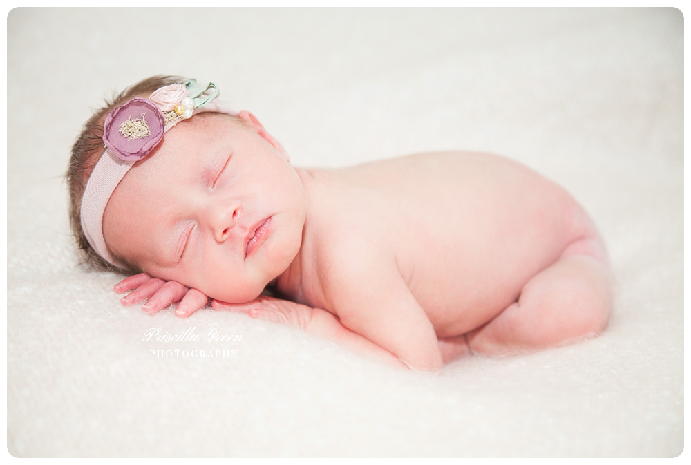 charlottenewbornphotographer_Priscillagreenphotography_0003.jpg