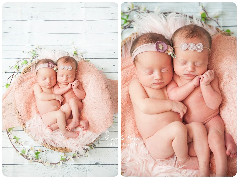 Charlotte Newborn Photographer | Inhome studio | Lifestyle session Twins P & P