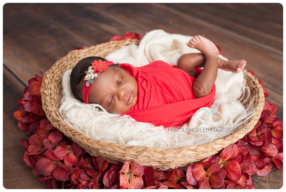 studio_charlotte_newborn_photographer_Priscillagreenphotography_0005.jpg