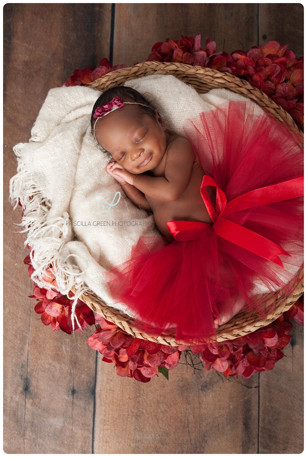 studio_charlotte_newborn_photographer_Priscillagreenphotography_0004.jpg