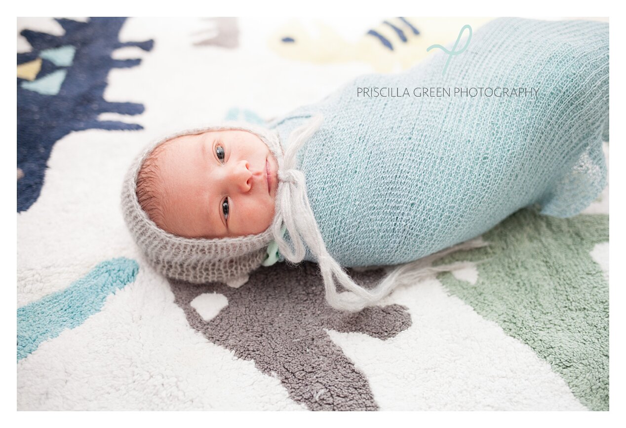 charlotte_baby_photographer_Priscillagreenphotography_0005.jpg