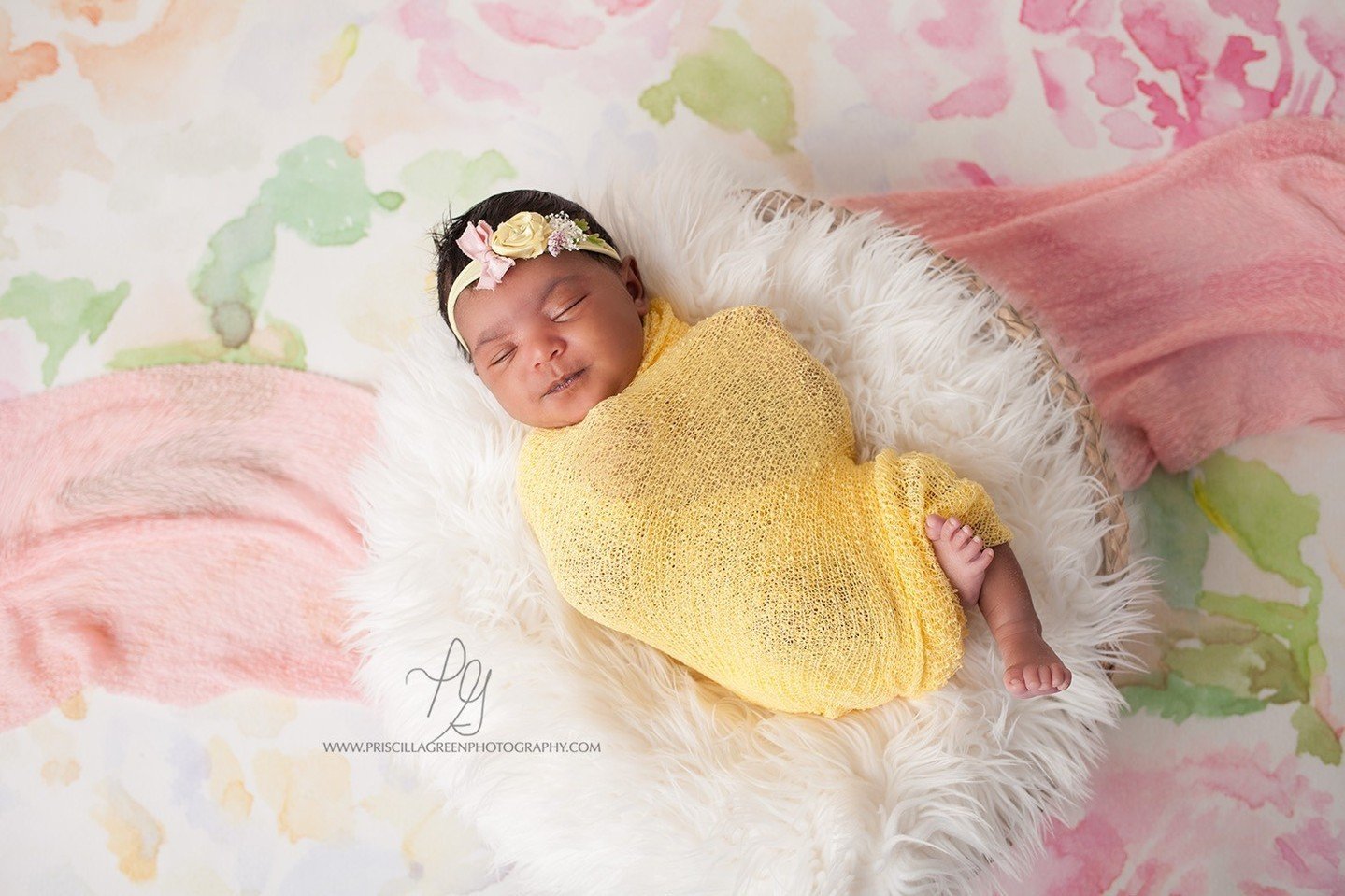 📸 Capturing priceless moments since 2013!⁠
⁠
Book your session online ⬇️⁠
https://priscillagreenphotography.com/studio-booking⁠
⁠
⁠
#NewbornPhotography #ProfessionalExperience #PreciousMoments