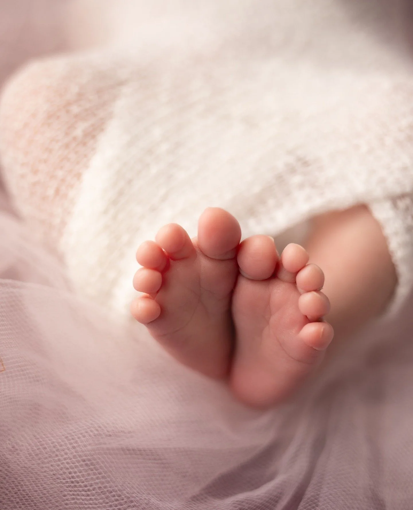 &quot;Proof that miracles come in small packages&quot;👣🩷⁠
.⁠
.⁠
.⁠
#cltmaternityphotography #charlottenewborns #charlottemoms #charlottebabyphotographer #Charlottematernityphotography #charlottematernityphotographer #charlottenewbornphotography #cl