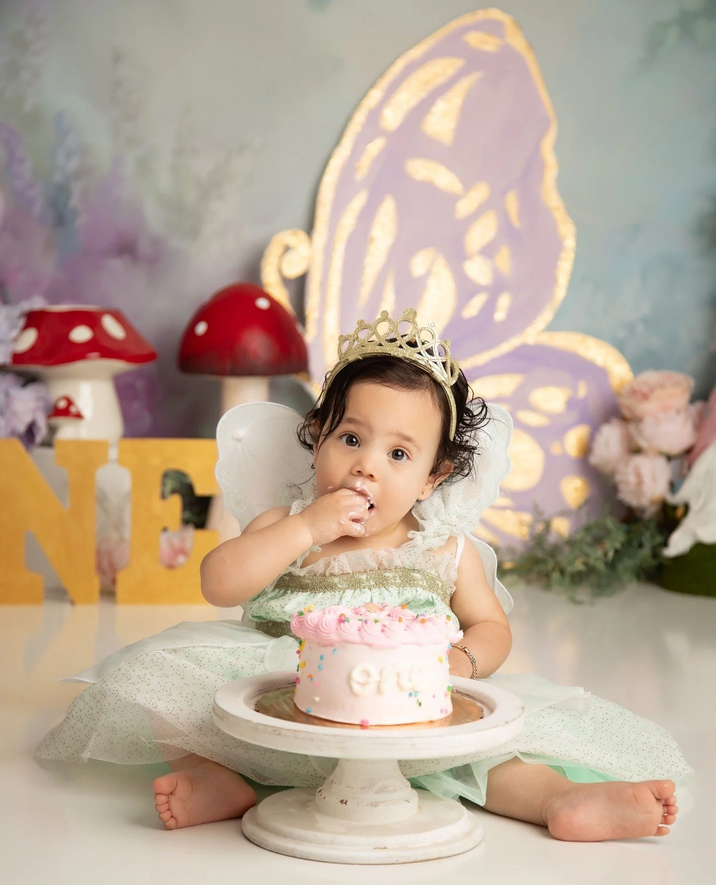 A perfect cakesmash for a perfectly whimsical one-year-old!⁠
⁠
#cakesmashphoto #cltphotographer #clt #priscillagreenphotography #oneyearmilestone
