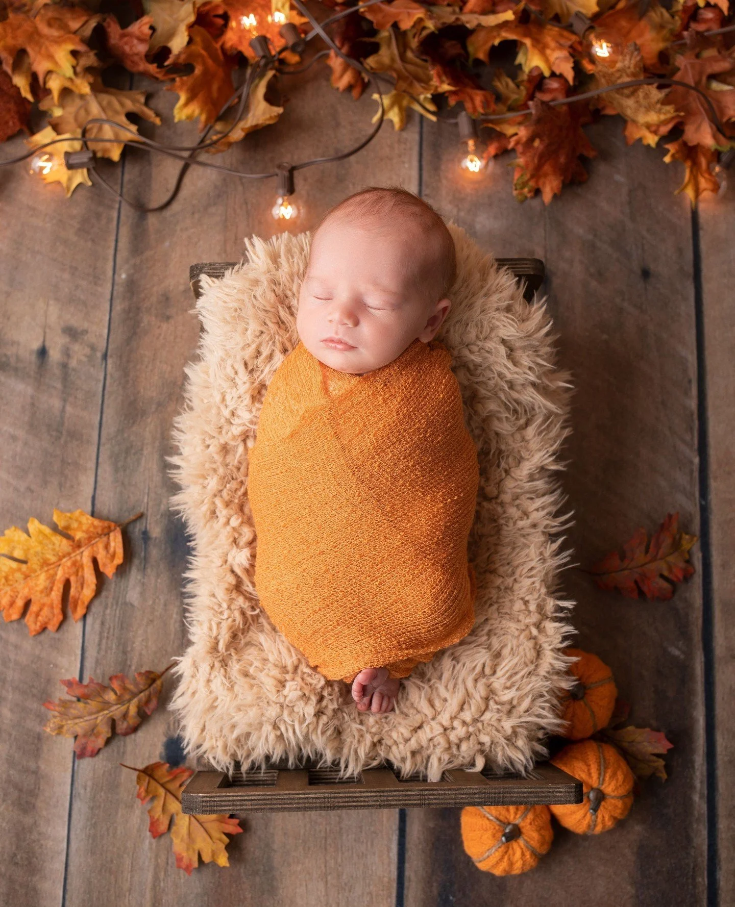A bundle so tiny you can't help but fall in love🍁🧡⁠
⁠
#priscillagreenphotography #fallnewbornphotography #charlottestudiophotographer