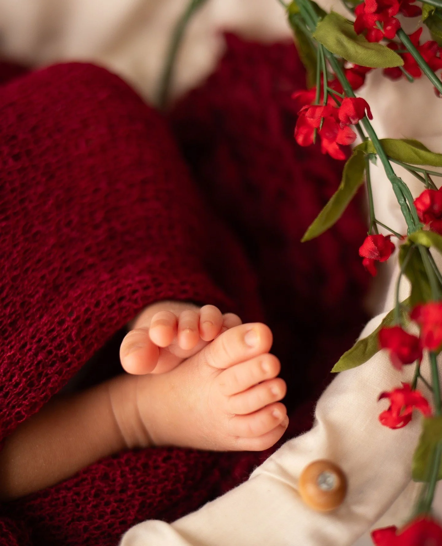 Little toes ❤️

Best time to book your newborn is during your 2nd trimester of pregnancy. We reserve your baby&rsquo;s due date and adjust the date once y a y arrives.

Maternity &bull; Newborn &bull; 1 year &bull; Family
1609 Sardis Rd. N, Charlotte