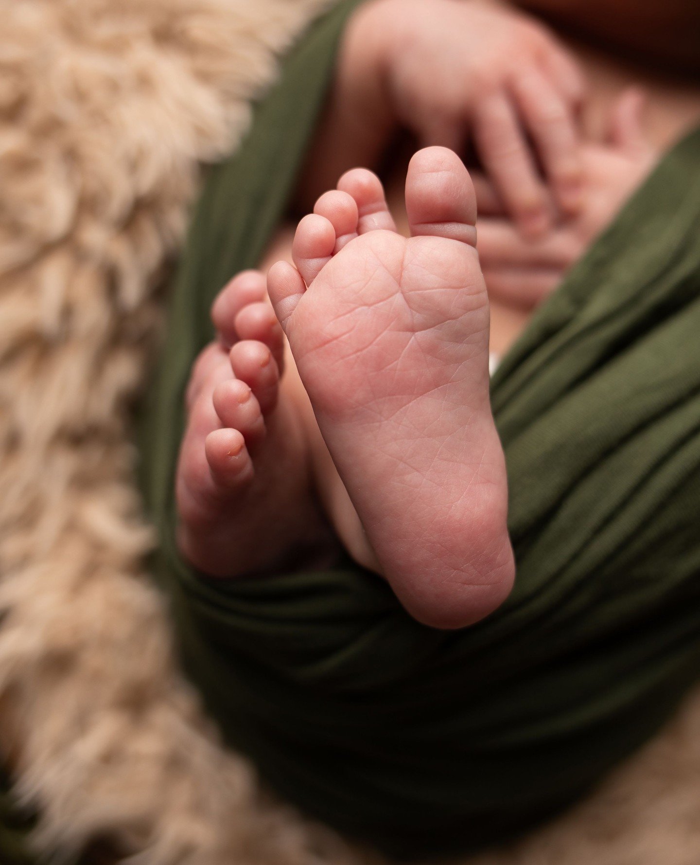 Sentimental details, captured moments that are evergreen🌲⁠
⁠
Maternity &bull; Newborn &bull; 1 year &bull; Family⁠
1609 Sardis Rd. N, Charlotte NC⁠
980-245-2310⁠
⁠
#priscillagreenphotography ⁠
#charlottenc #charlottephotographer #charlottenewbornpho