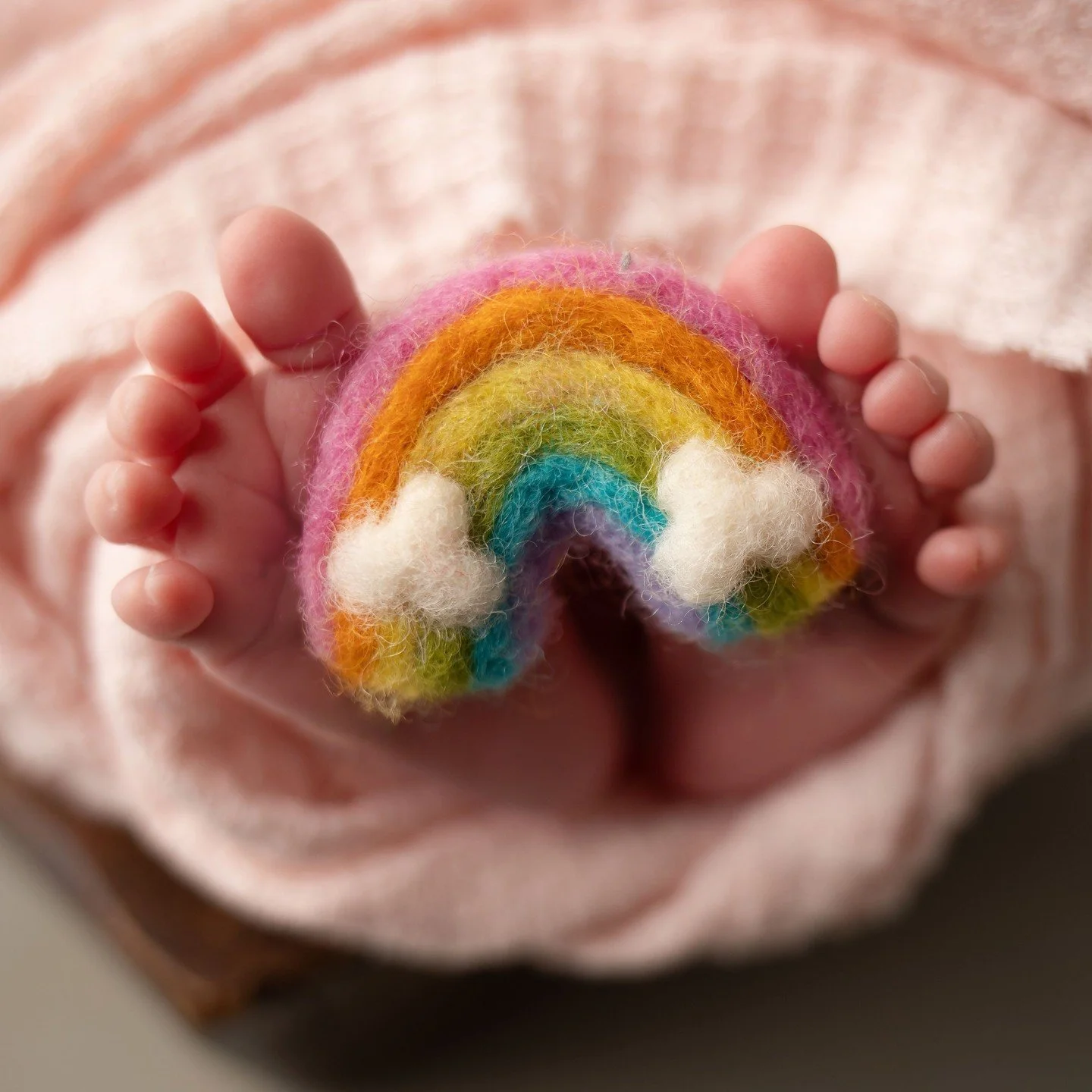 A little miracle, a second chance, a whole lot of love 🌈🤍⁠
Celebrating this rainbow baby and the joy they bring after the storm.⁠
⁠
Link in bio⁠
⁠
Photography Studio⁠
1609 Sardis rd. N⁠
Charlotte NC 28105⁠
⁠
Services provided: ⁠
Maternity &bull;new