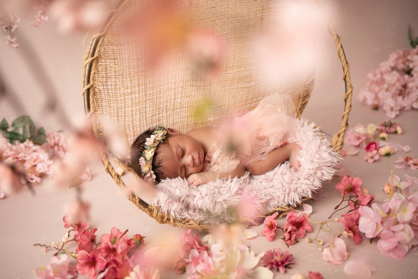 Each Newborn Photo Gallery is as unique and special as your newborn 🌸⁠
⁠
Link in bio to book your Newborn session!⁠
⁠
Photography Studio⁠
1609 Sardis rd. N⁠
Charlotte NC 28105⁠
⁠
Services provided: ⁠
Maternity &bull;newborn&bull;1 year &bull; family