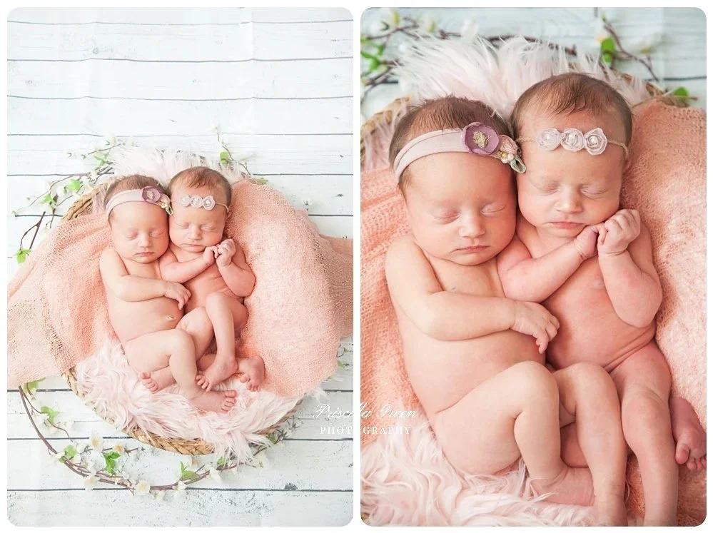 charlottenewbornphotographer_Priscillagreenphotography_0005.jpg