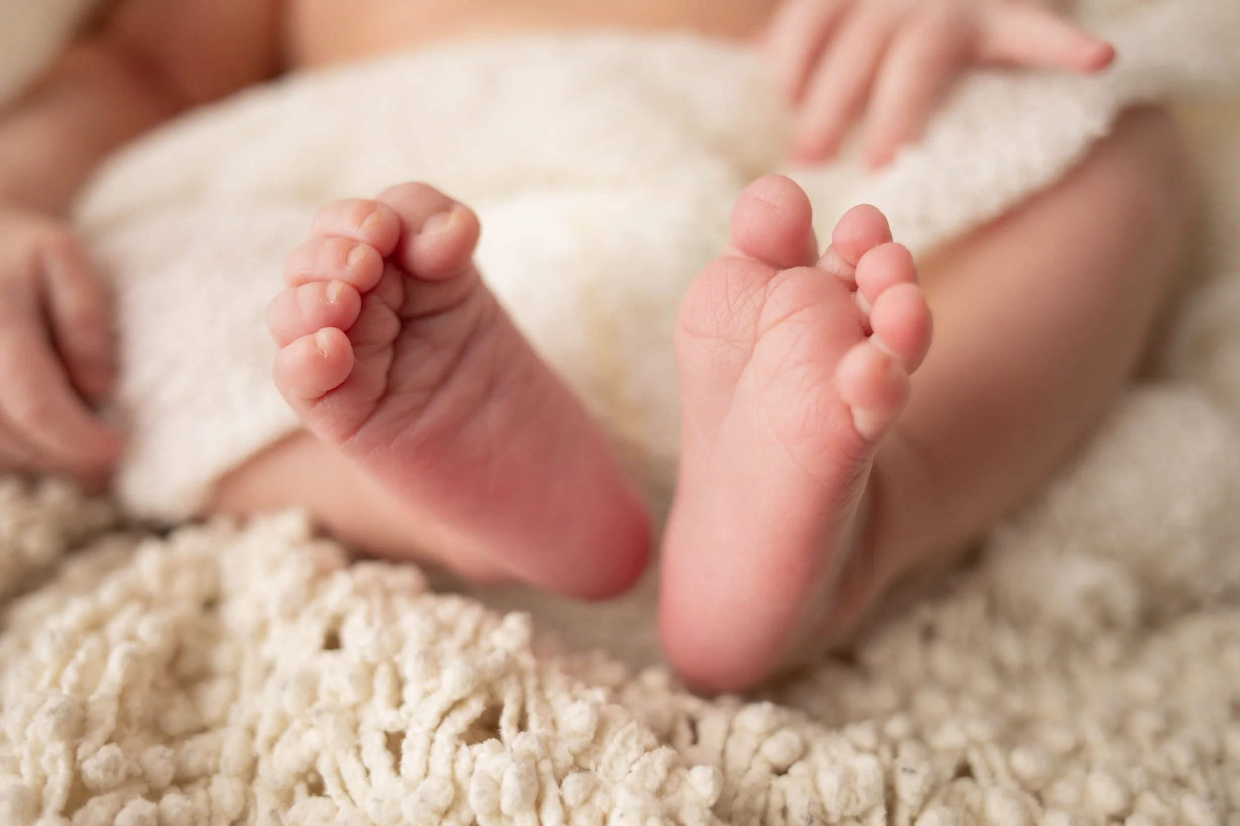 Charlotte, North Carolina - Newborn Photography - Baby photos - Clt Newborn photographer - Family and Newborn Photography - Priscilla Green Photography