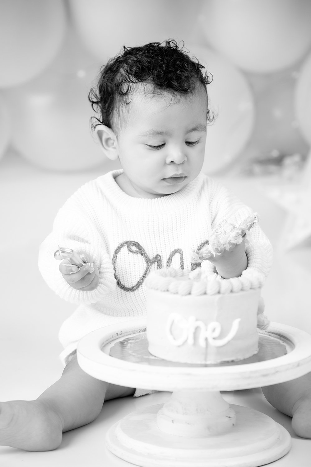 bestcakesmashphotographerincharlottenc.jpg