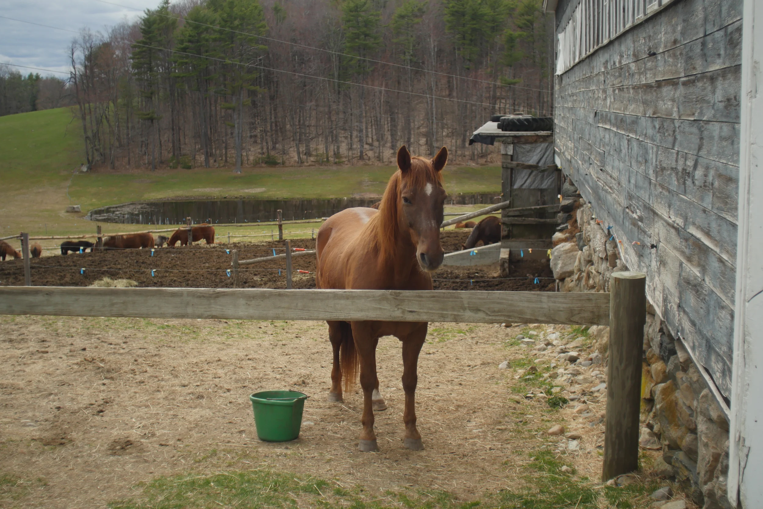 We are in Pre-Production for a Short Film