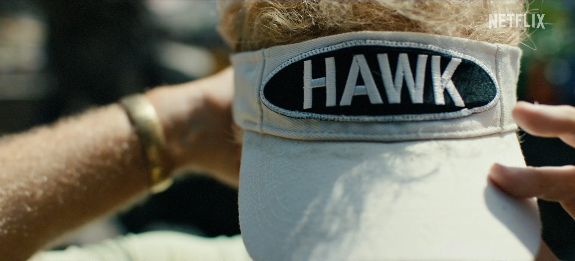 HAWK_0000579.jpg